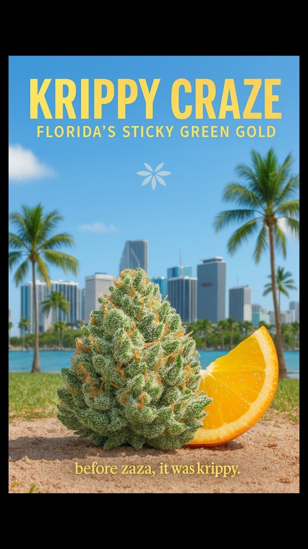 Krippy Craze  Florida’s Sticky Green Gold