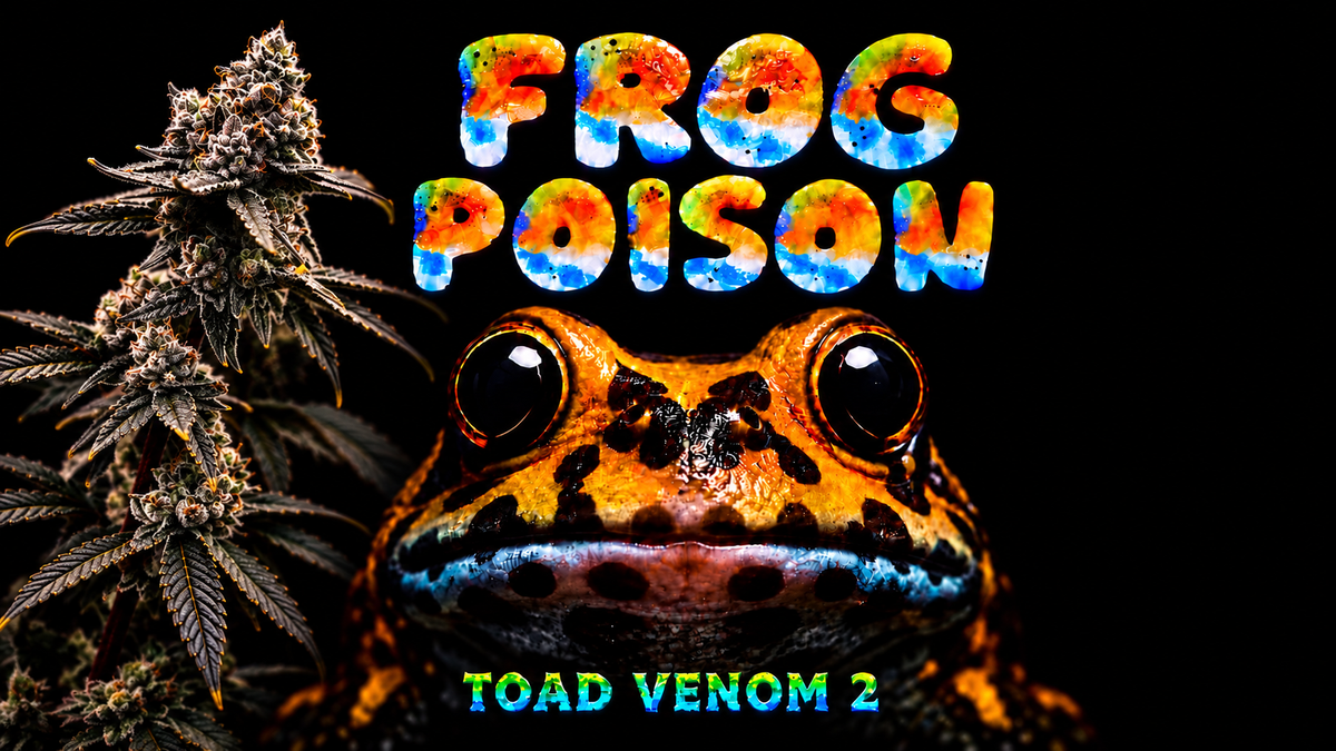 Frog Poison Origin Story: How Toad Venom Escaped