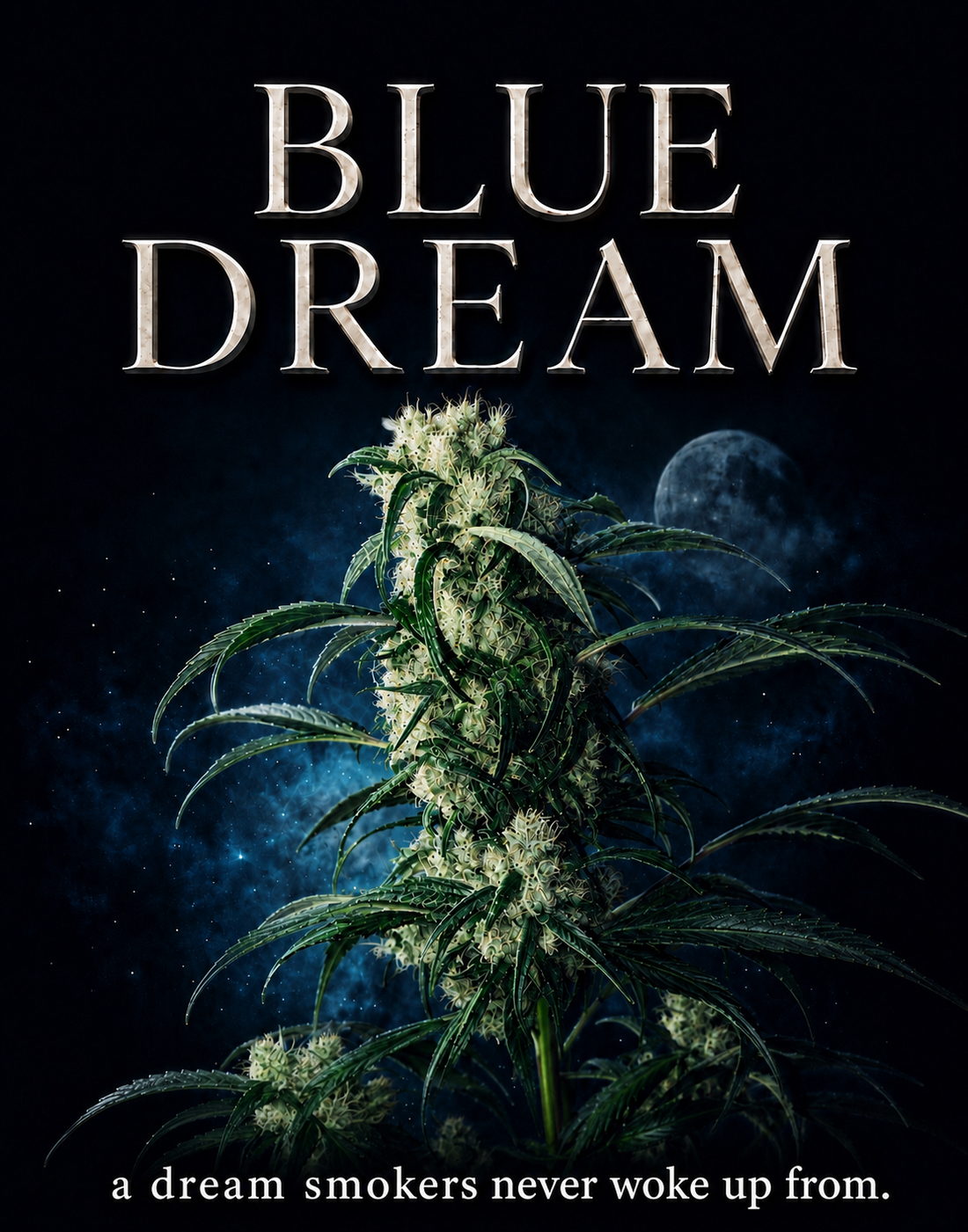 Blue Dream: A Dream Smokers Never Woke Up From