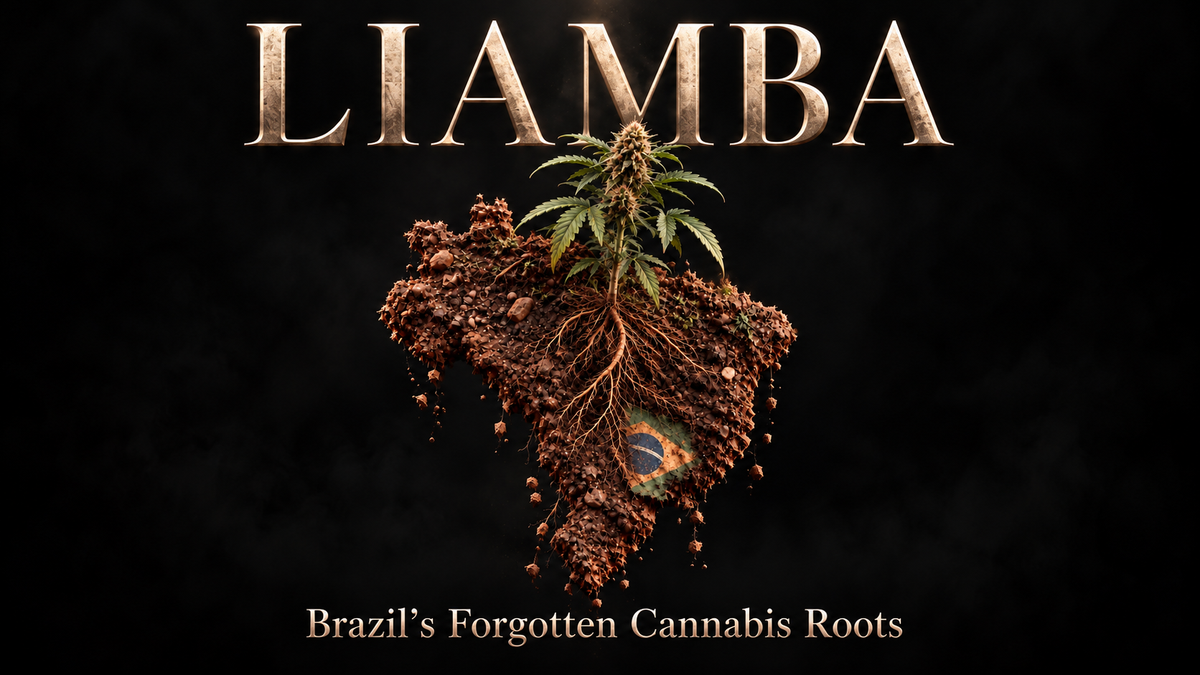 LIAMBA: Brazil’s African Cannabis Story