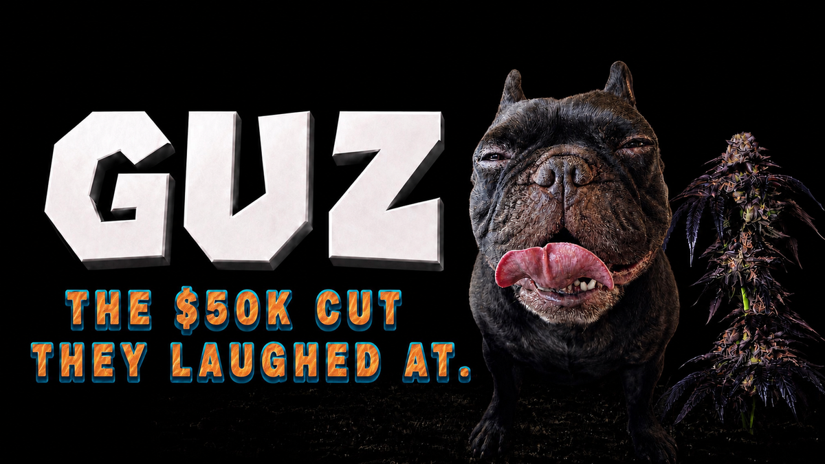 GUZ, The $50K Pheno They Laughed At
