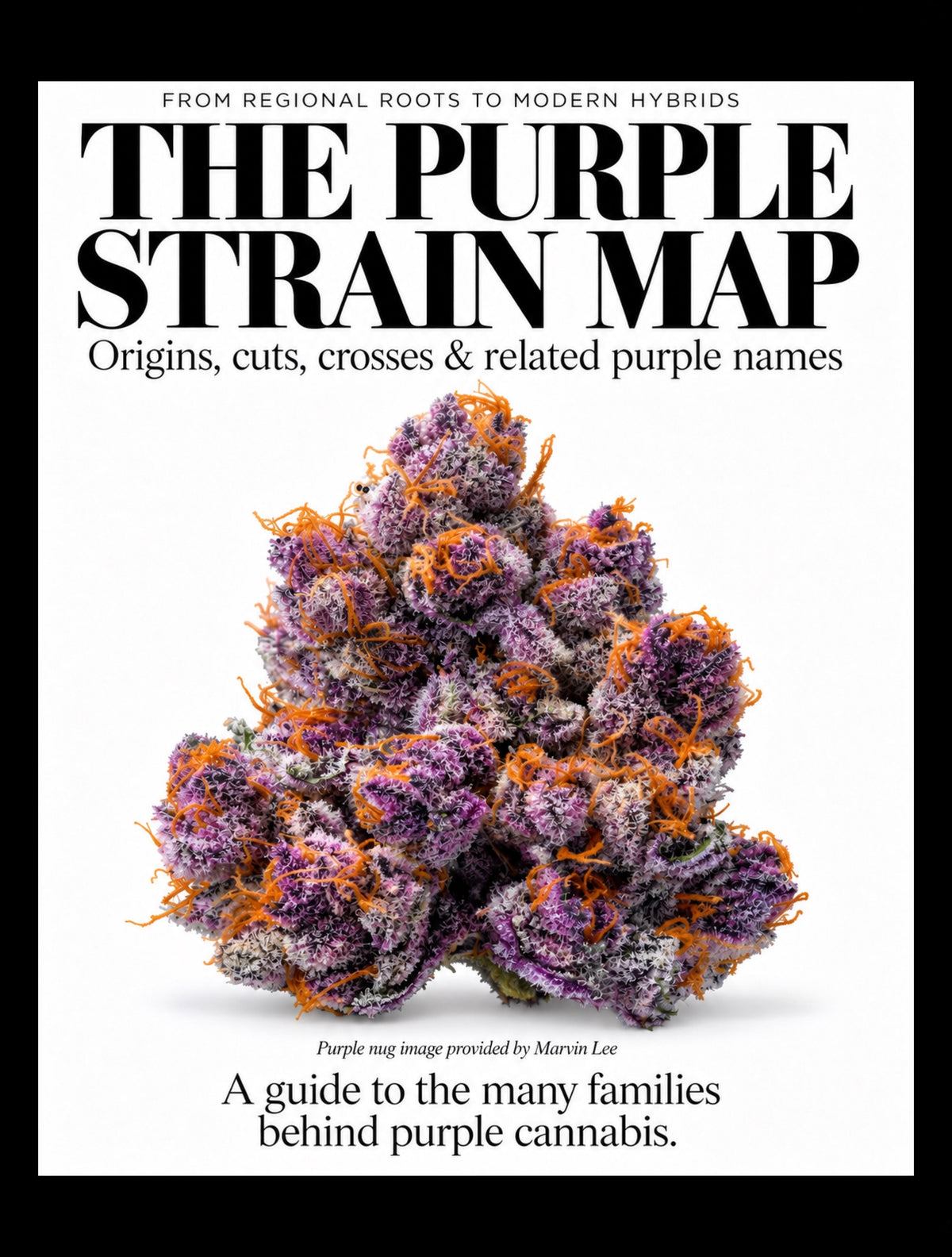 The Purple Strain Map: Many Roots, Many Families