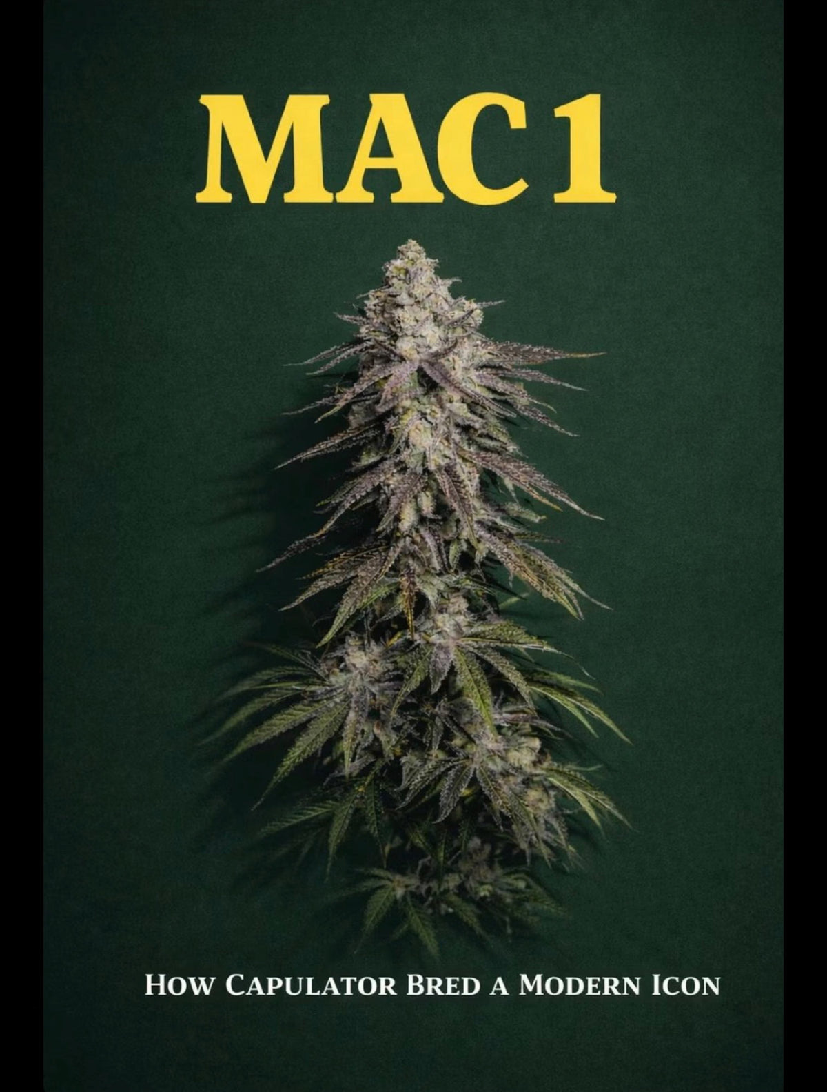 The MAC 1 Story (Bred By Capulator)