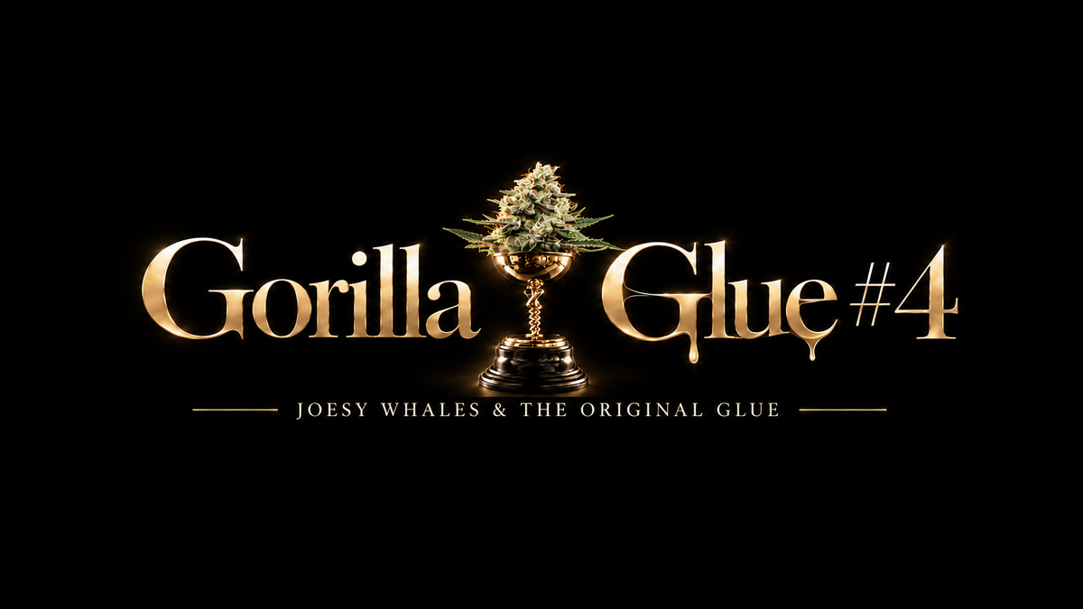 Gorilla Glue #4 Strain Origin Story: Joesy Whales And the Original Glue