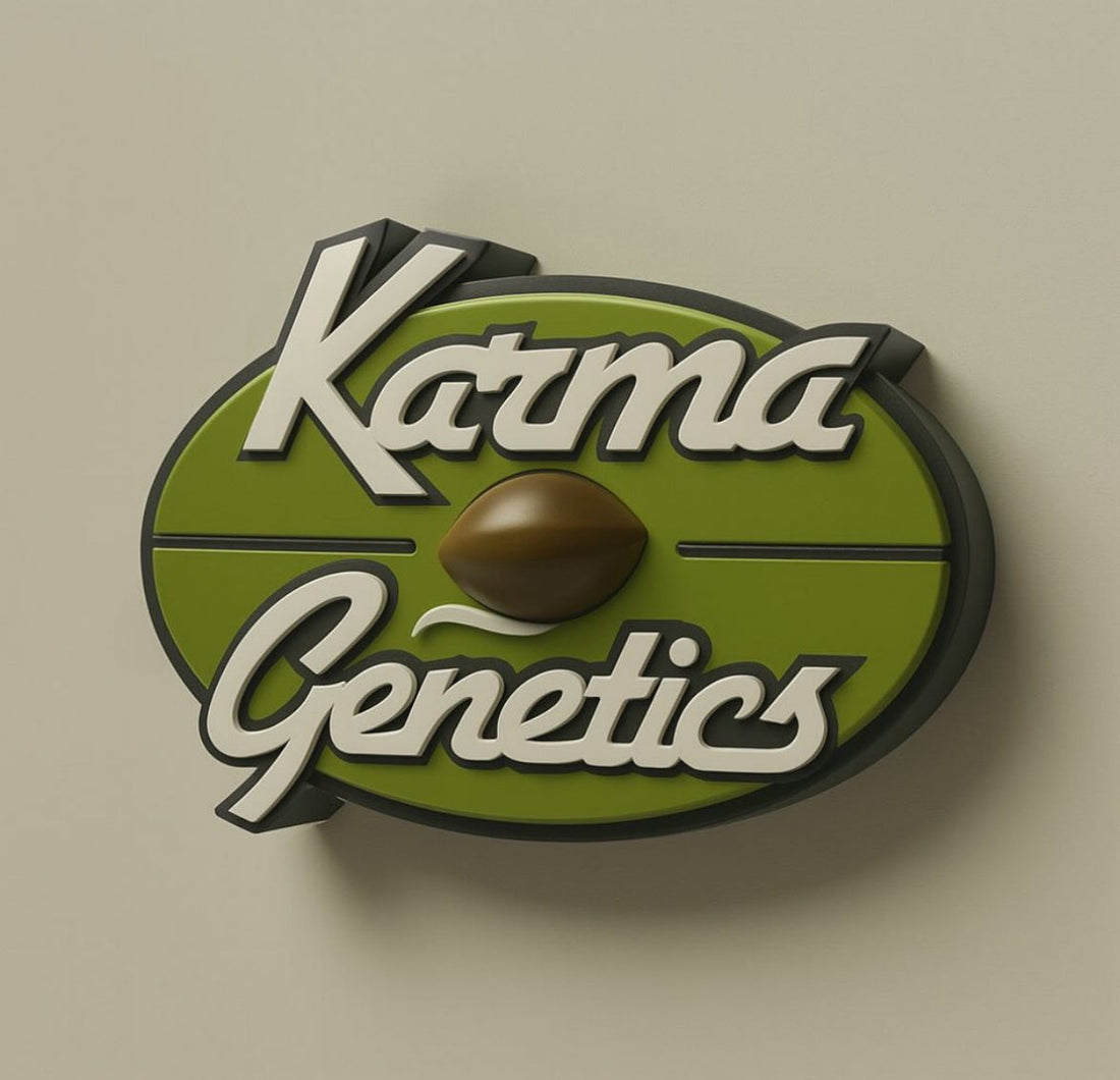 Coffeeshop to Cult Classic: Karma Genetics