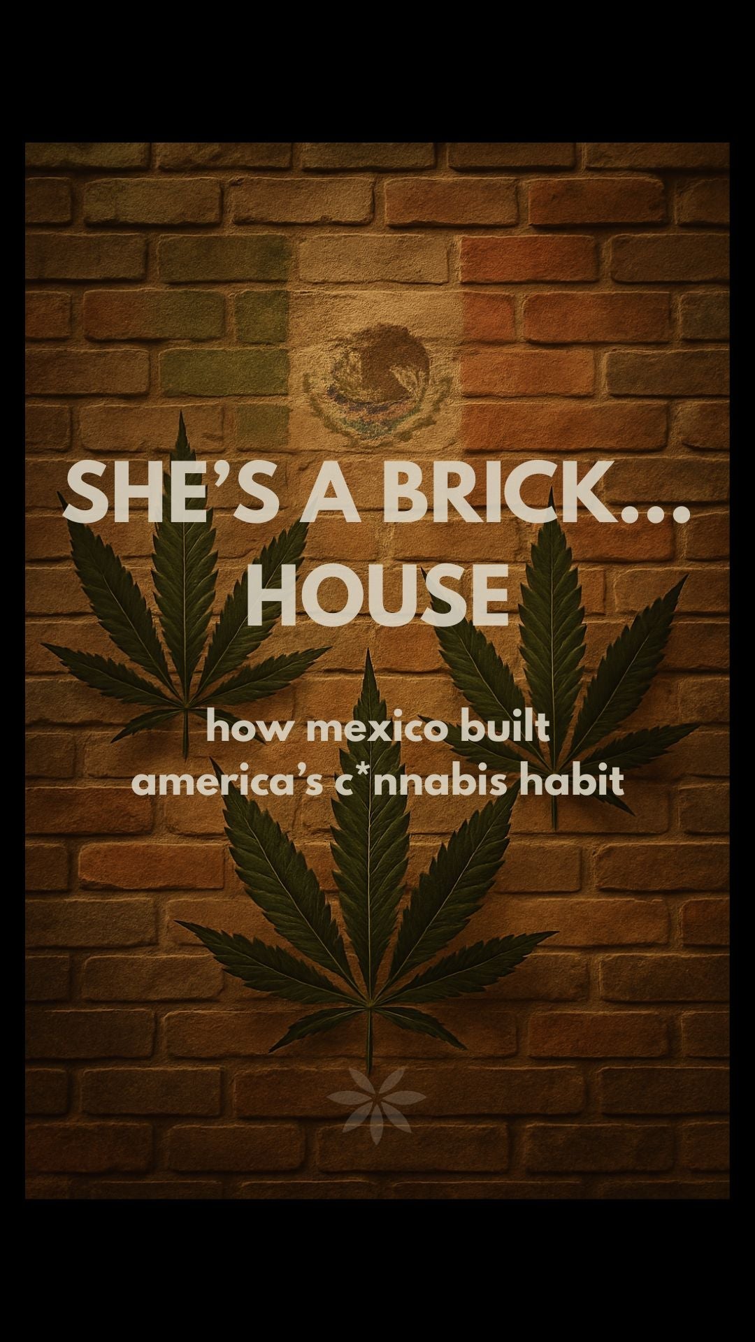 SHE’S A BRICK..HOUSE: HOW MEXICO BUILT AMERICA’S WEED HABIT