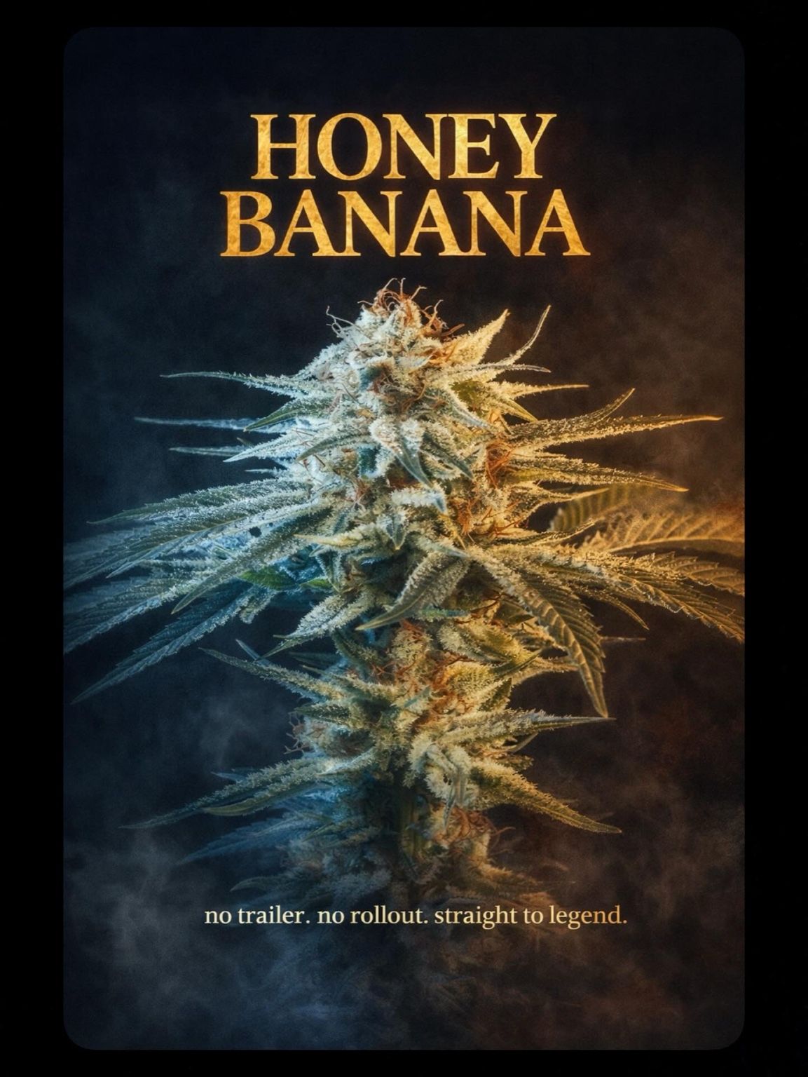 The Honey Banana Legacy