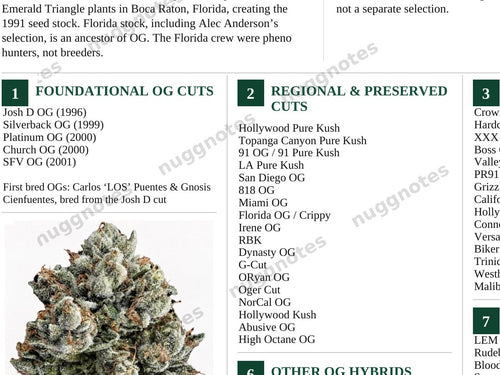 Close-up detail — text stays sharp and readable at full print size